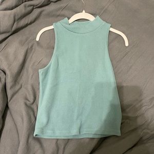 Teal (ish) tan top with low turtle neck.